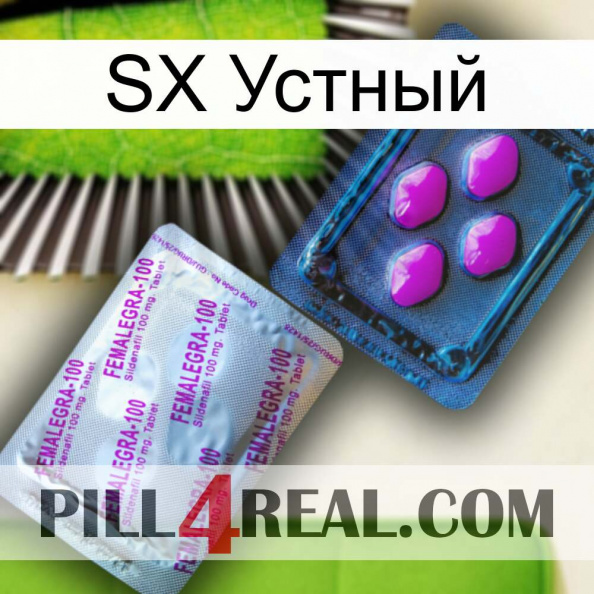 SX Устный 37.jpg